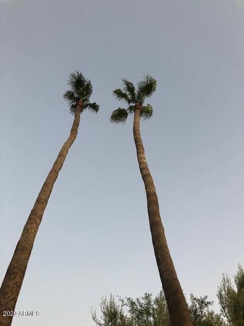 13848 N 109th Ave, Sun City, AZ 85351 - photo 3