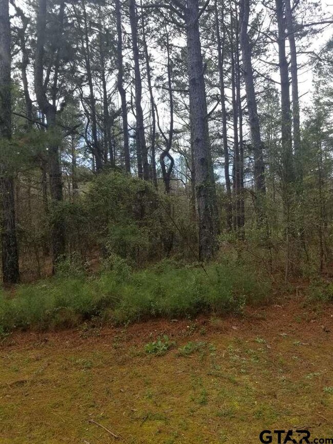 4045 Veranda Place, Tyler, TX 75701 - photo 3