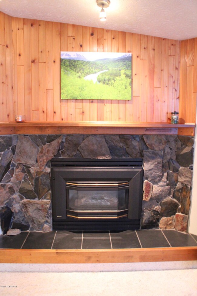 Beautiful Fireplace