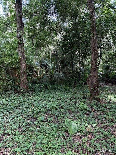 9379 E Tin Pan Aly, Inverness, FL 34453 - photo 2