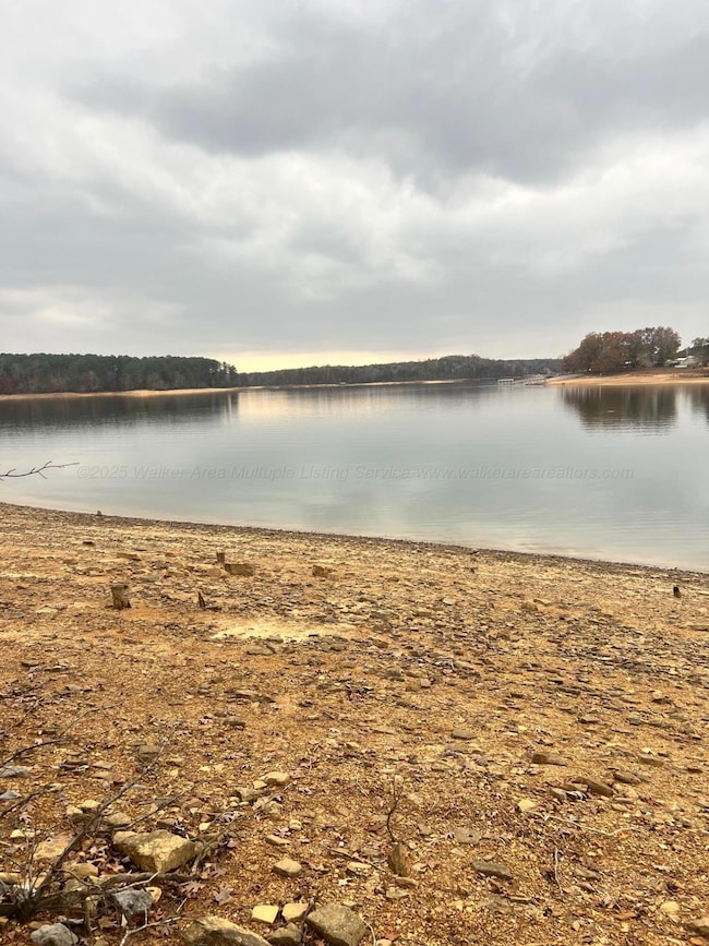 LOT 25 Lynnwood Estates Phase 2, Arley, AL 35541 - photo 5