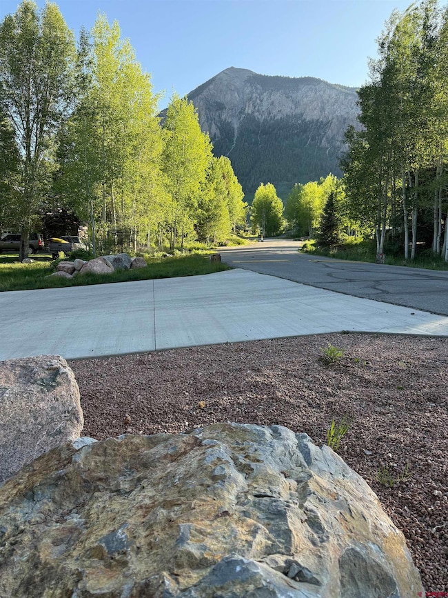 491 Slate River Dr, Crested Butte, CO 81224 - photo 4
