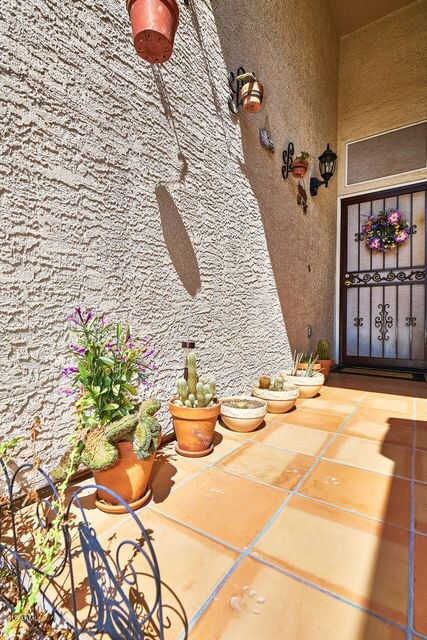 Front Entry-Paw Prints