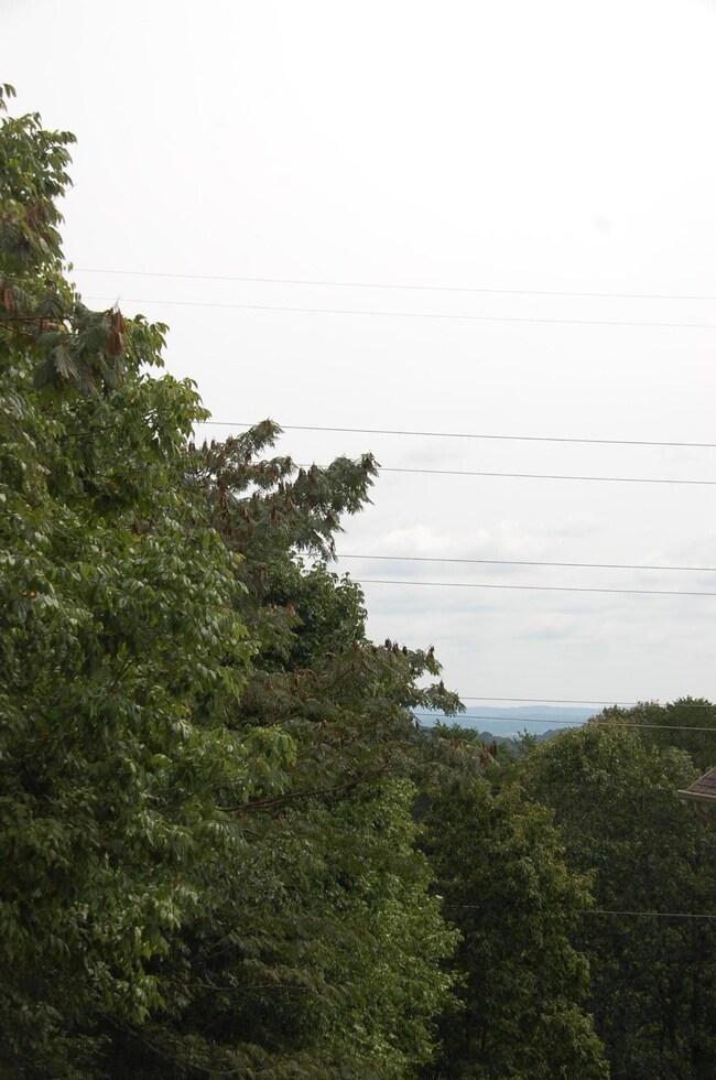 DSC_0013