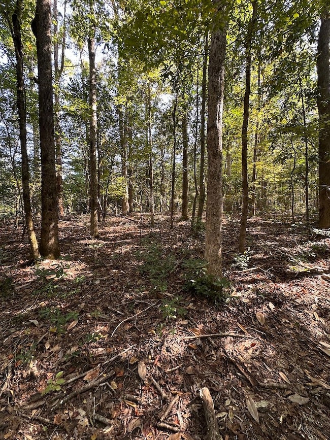 Cutrer Dr unit LotWP001, Osyka, MS 39657 - photo 5