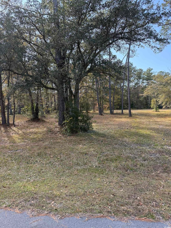 867 Denali Dr, Conway, SC 29526 - photo 2