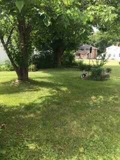 back yard