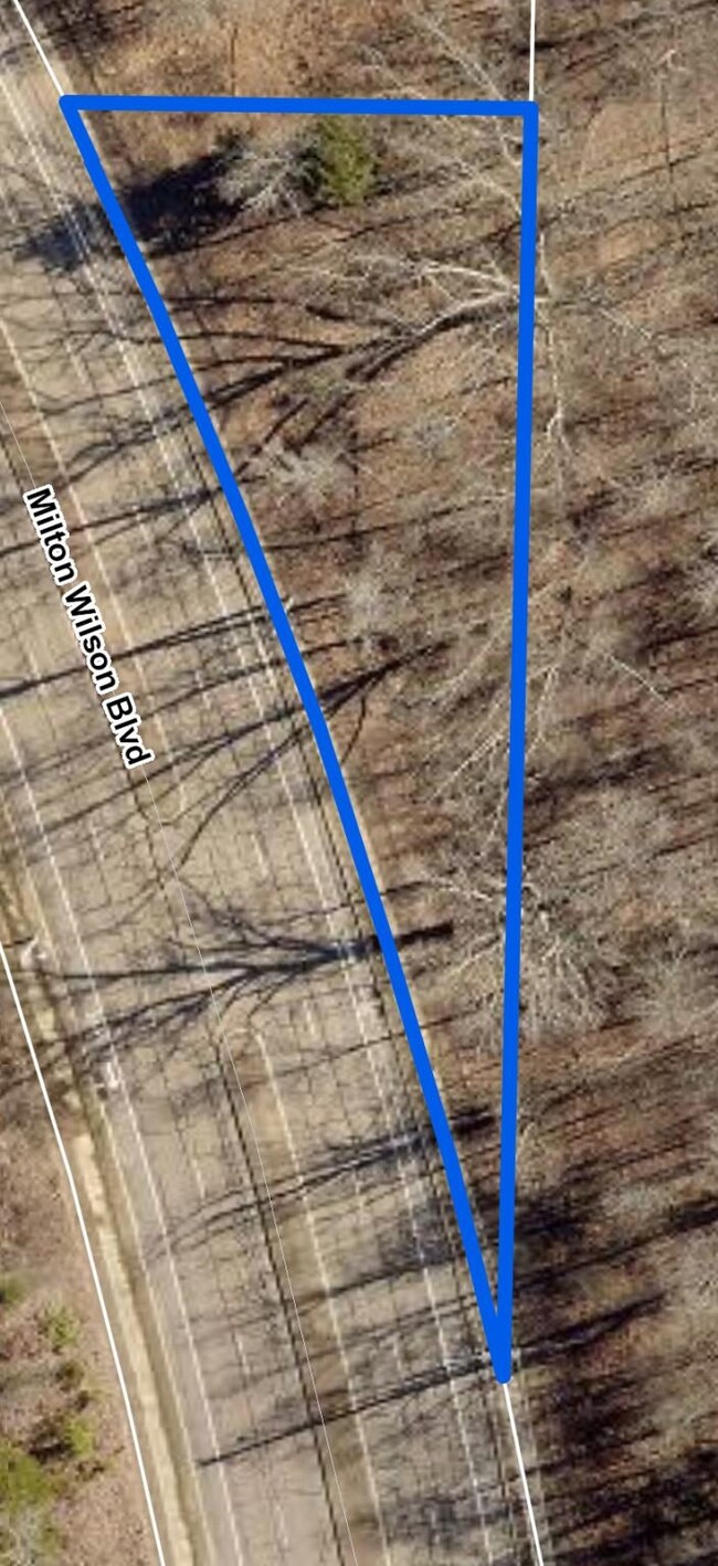 0 Milton Wilson Blvd unit 10186845, Arlington, TN 38002 - photo 2