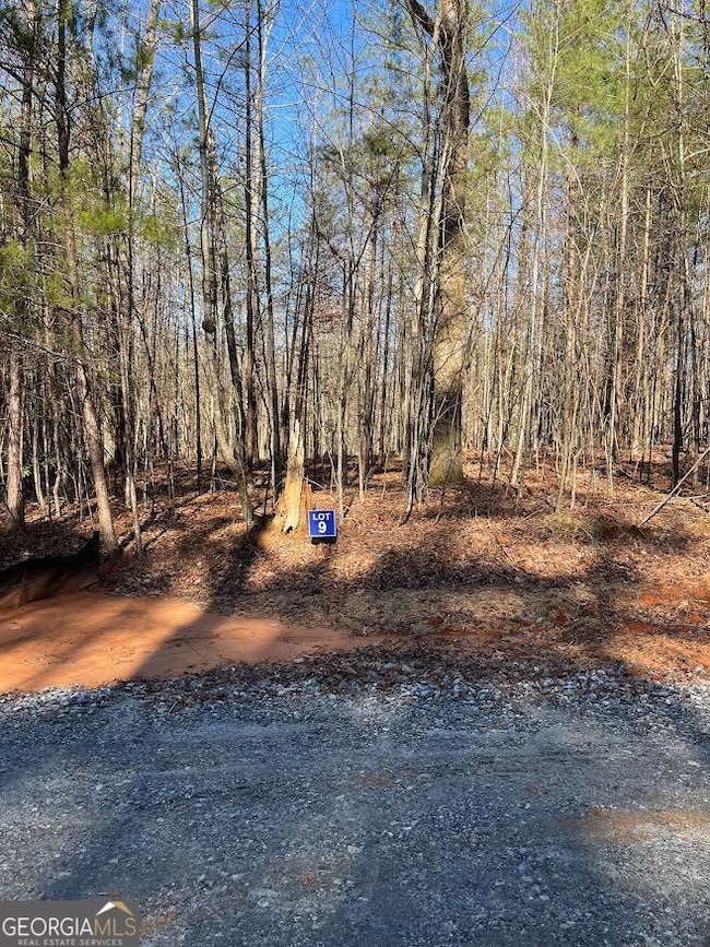 9 Crawford Crest, Dawsonville, GA 30534 - photo 4