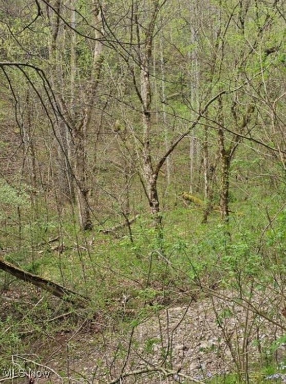 1247 Rocky Branch Rd, Linden, WV 25259 - photo 2