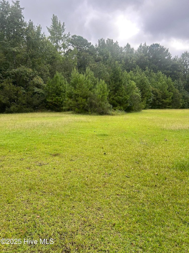 3 Larkins Rd, Rocky Point, NC 28457 - photo 3