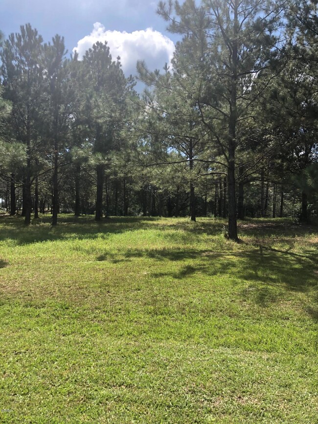 0 Burgundy Dr, Lucedale, MS 39452 - photo 3