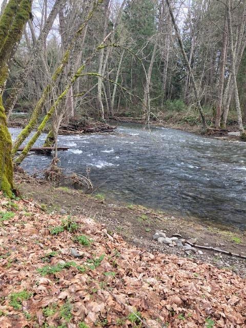 Williams Creek Frontage