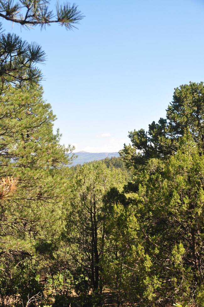 0 4230 Chipmunk Dr unit B70 16-642, Trinidad, CO - photo 7