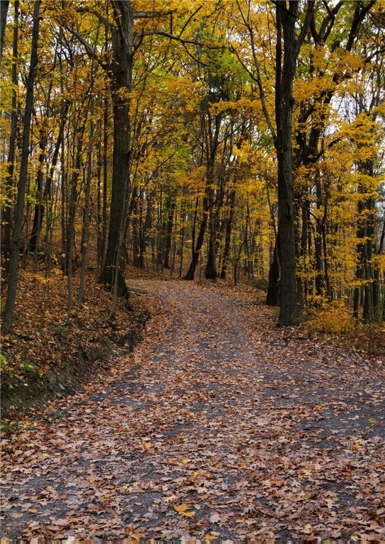 Right of way to property.