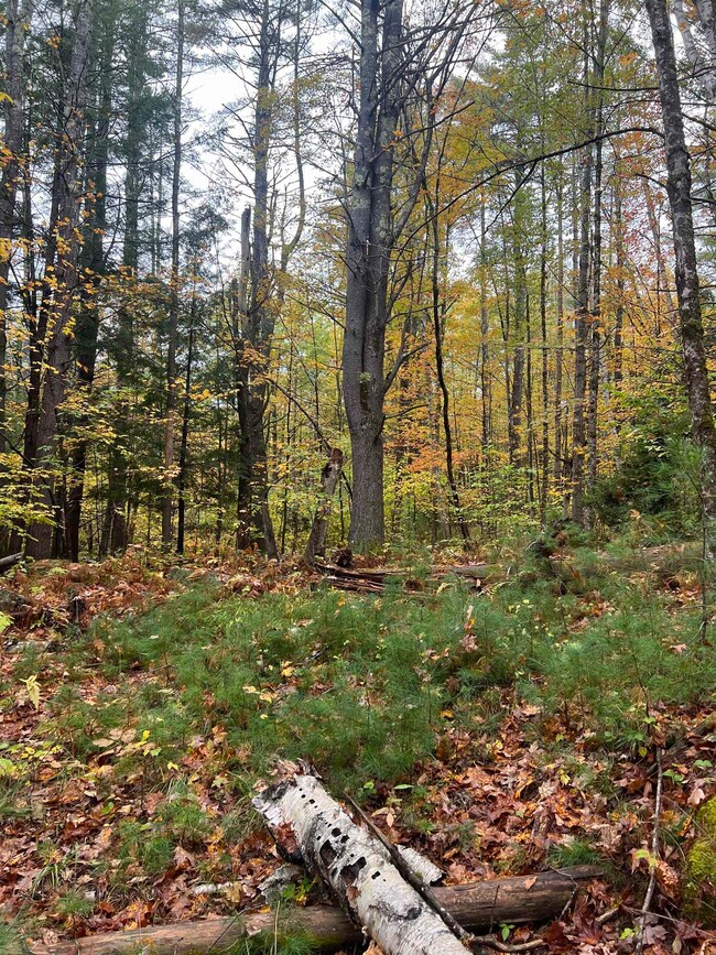 0 Freeman Colby Rd, Henniker, NH 03242 - photo 5