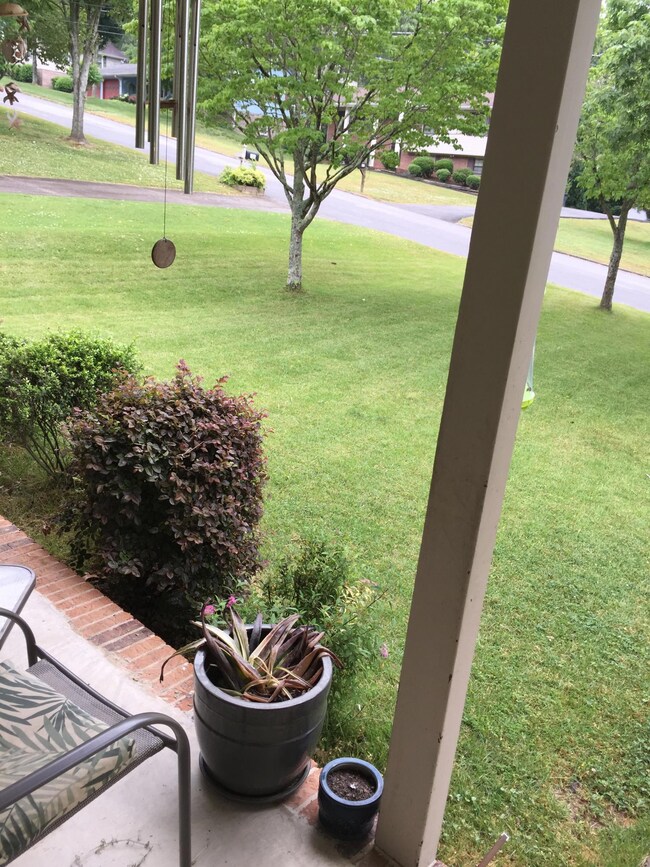 View from front porch