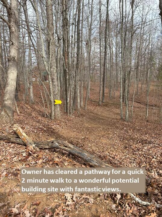 cleared pathway