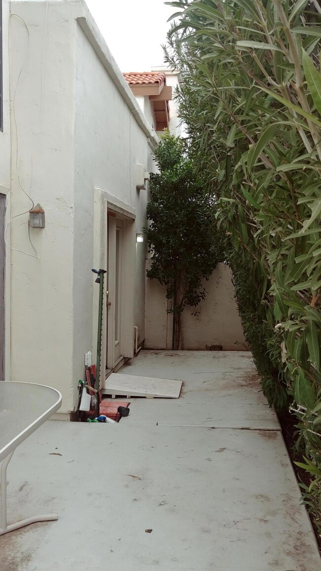 Back privacy yard