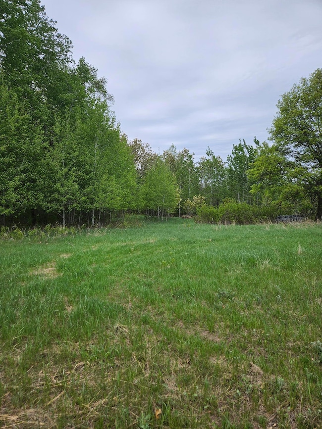 TBD Pillager Creek Trail SW, Pillager, MN 56473 - photo 2