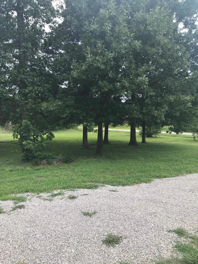mature trees