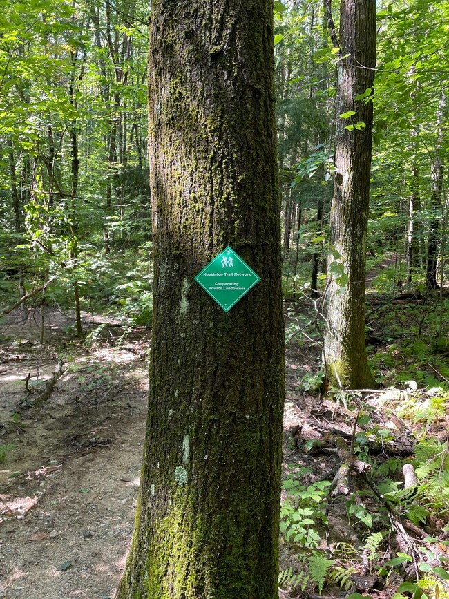 11-02 Old Stagecoach Rd unit Lot 11.02, Hopkinton, NH 03229 - photo 7