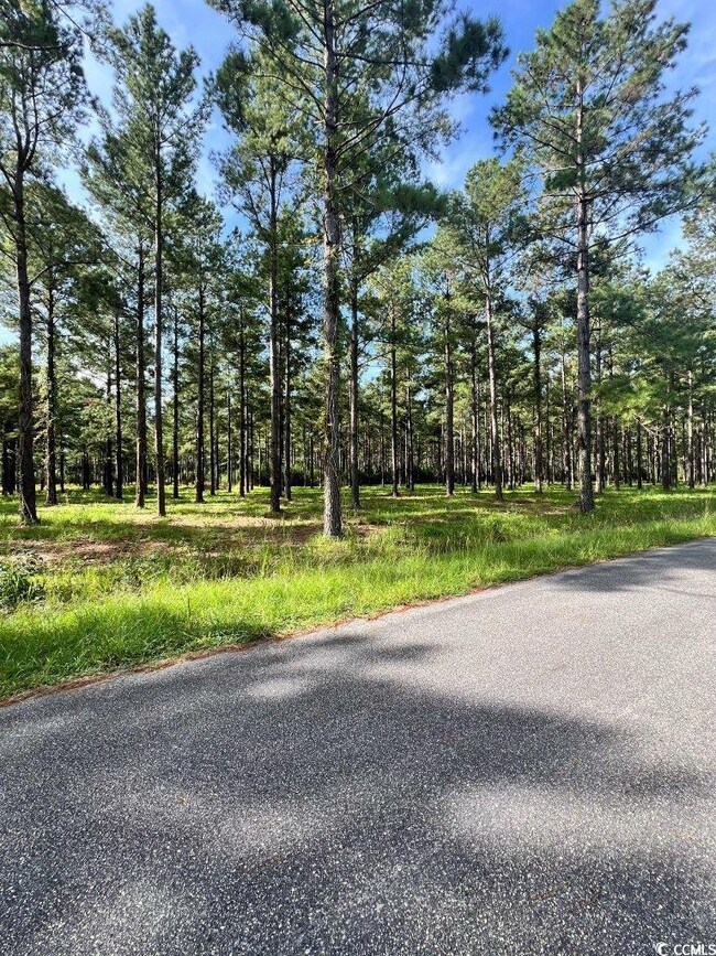 TBD Ashley Cir unit Lot 4, Conway, SC 29526 - photo 6