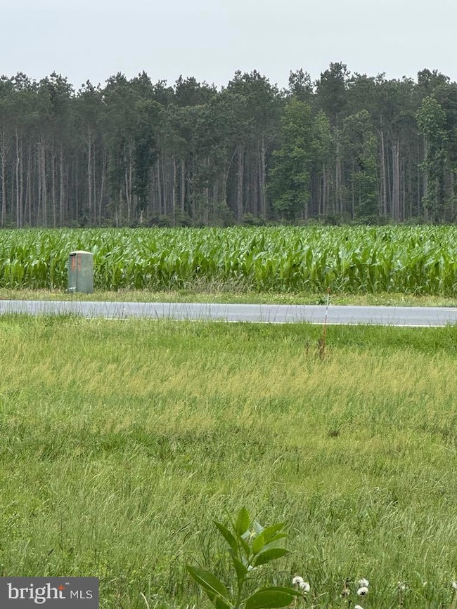 14073 Old Furnace Rd, Georgetown, DE 19947 - photo 5