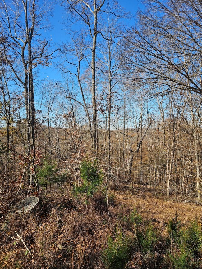 0 Lantern Way, Jamestown, KY 42629 - photo 5