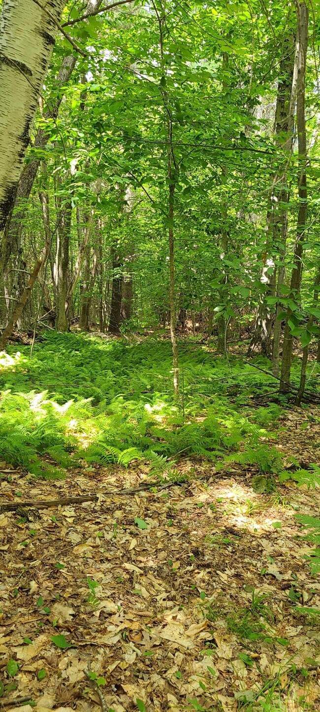 579 Paris Hill Rd, Buckfield, ME 04220 - photo 4