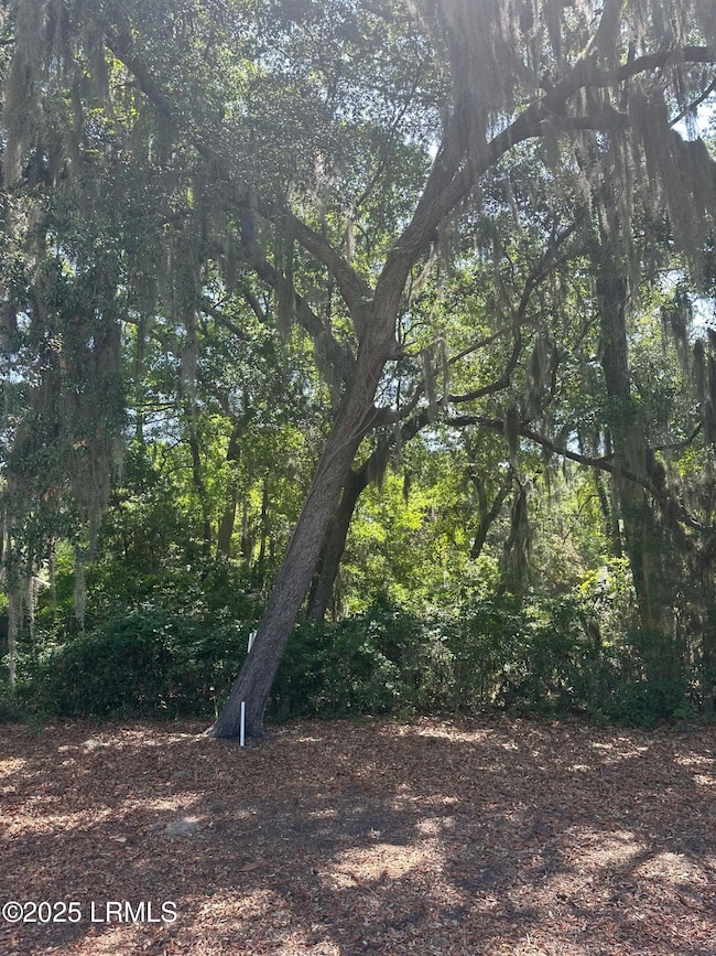 454 Bb Sams Dr, Dataw Island, SC 29920 - photo 2