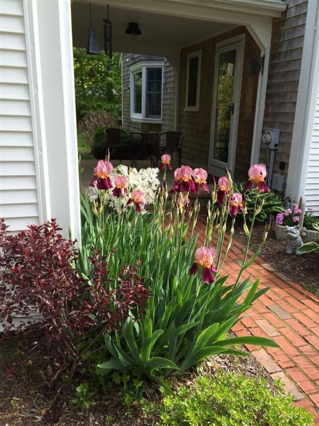 68 Joyce Anne Rd, Centerville, MA 02632 - photo 3