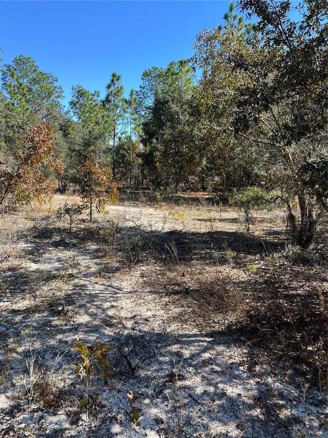 0 121 Sw Terrace unit MFRO6361048, Ocala, FL 34481 - photo 6