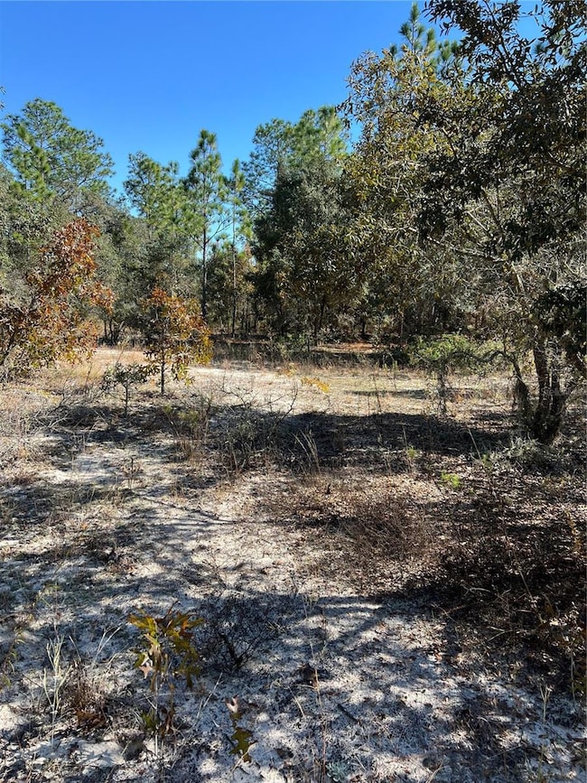 0 SW 121 Terrace Rd unit MFRO6361048, Dunnellon, FL 34432 - photo 6