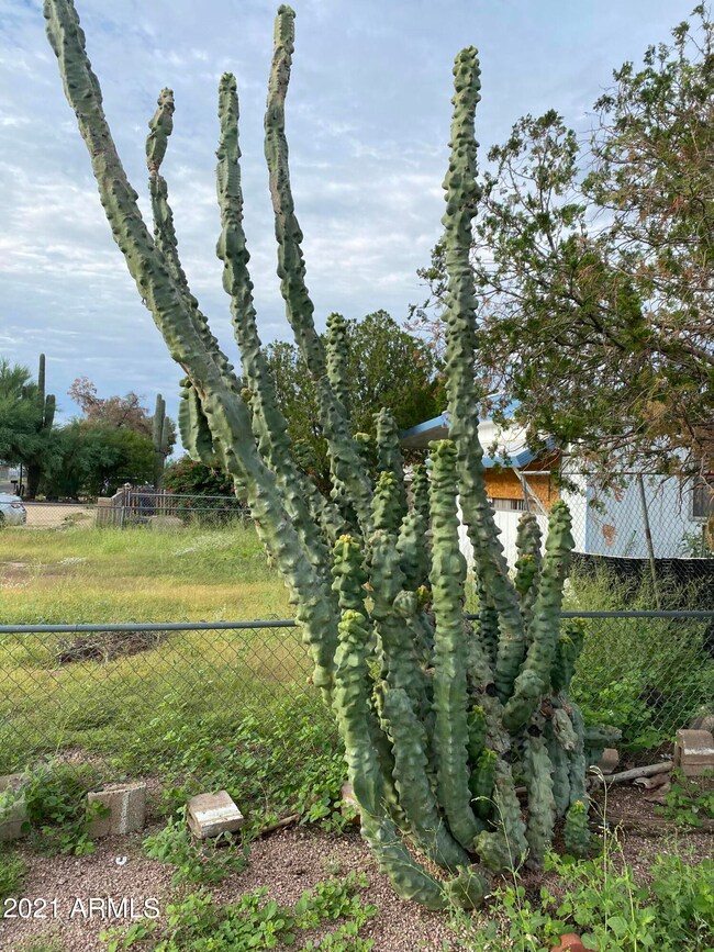IMG-0338