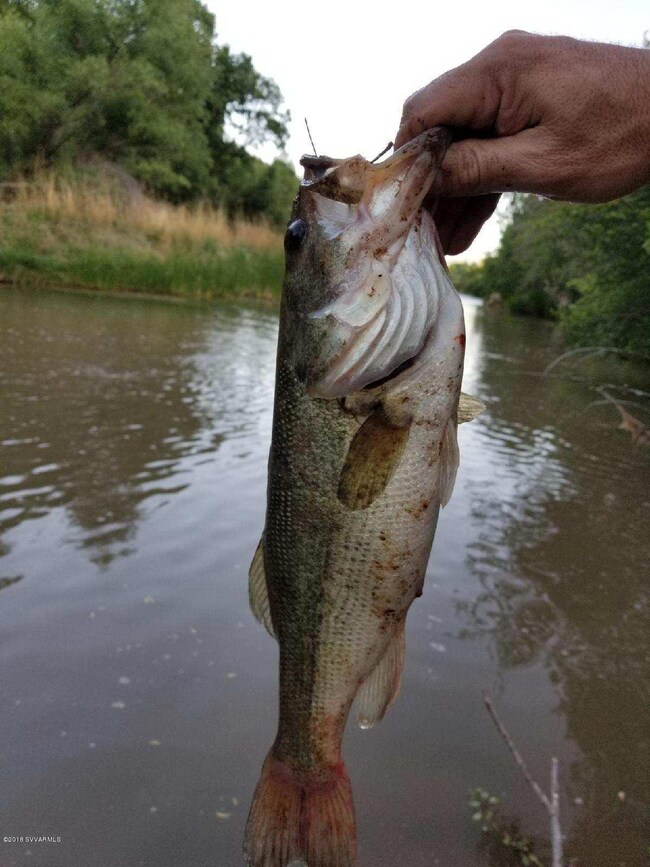 unlisted-address, Cottonwood, AZ 86326 - photo 5