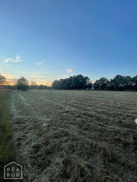 172 County Road 325, Jonesboro, AR 72401 - photo 3