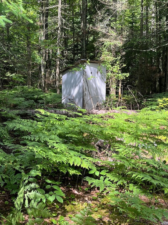 0000 N Brooke Rd, Whitefish Township, MI 49768 - photo 2