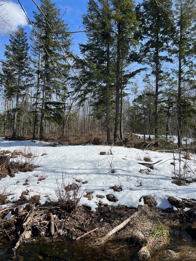 Stoneham - 1 (5)