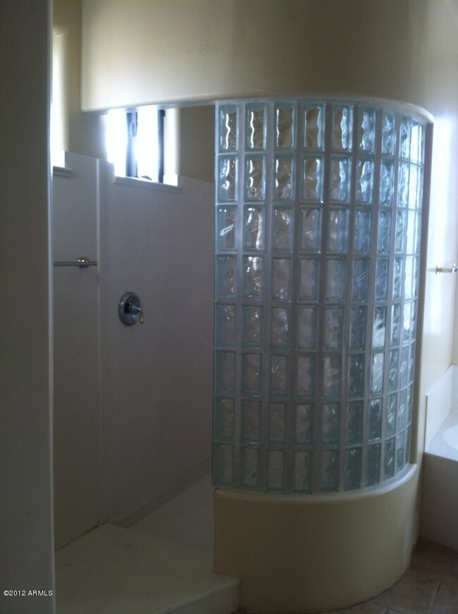 Snail shower design in mstr bath