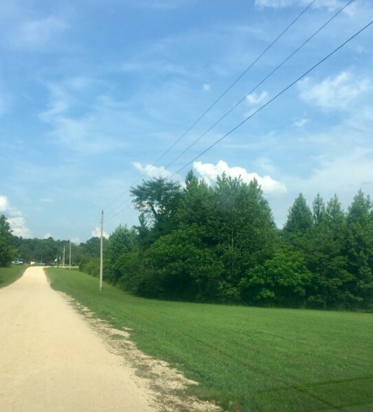 0 Whitaker Bnd Rd unit RTC2359634, Linden, TN 37096 - photo 4