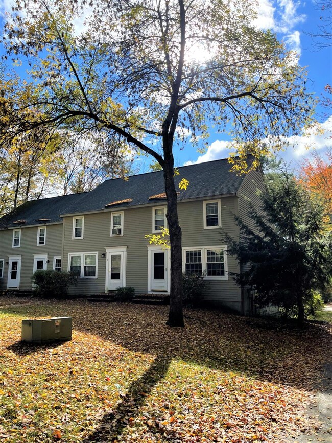 1326 Forest