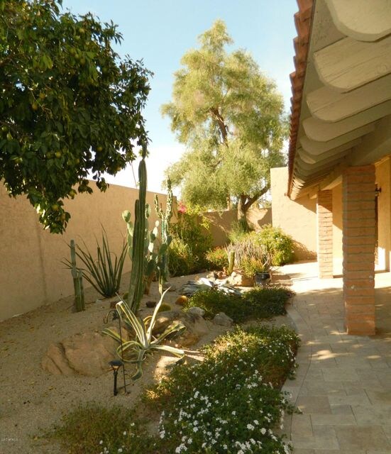 Lush Front Yard & Citrus Trees