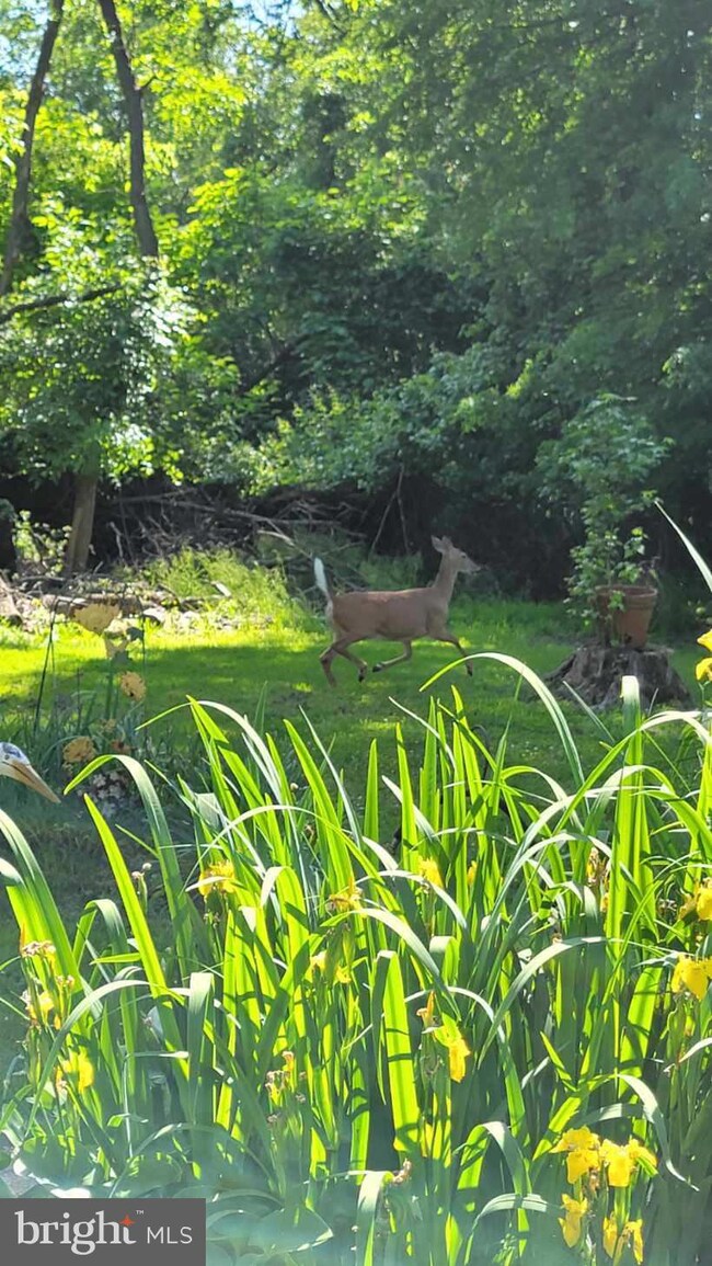 67 Central Ave, Ewing, NJ 08618 - photo 3