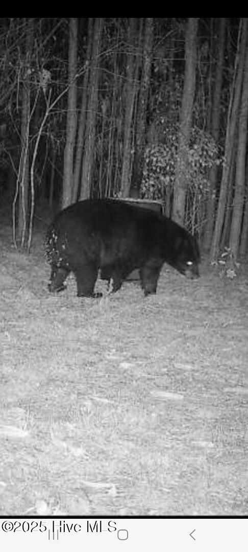 0 Yeopim unit 100484918, Edenton, NC 27932 - photo 2