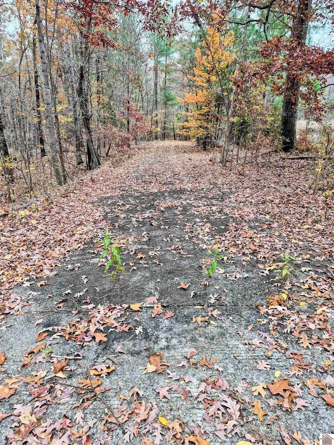 0 Bear Run, Benton, KY 42025 - photo 3