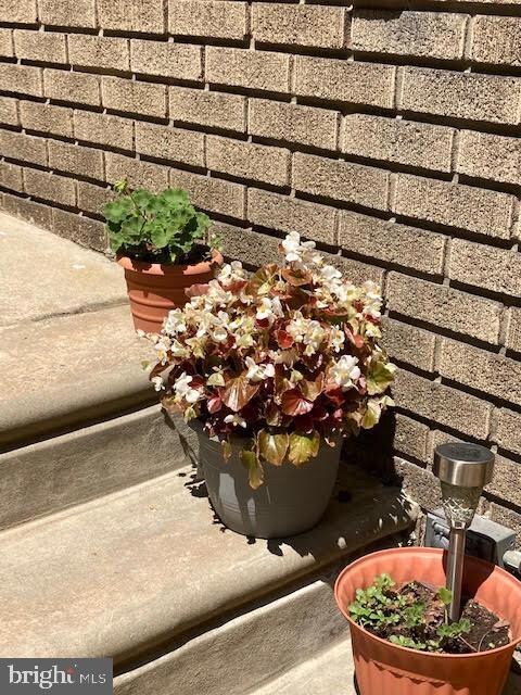 3518 Oakmont St, Philadelphia, PA 19136 - photo 6