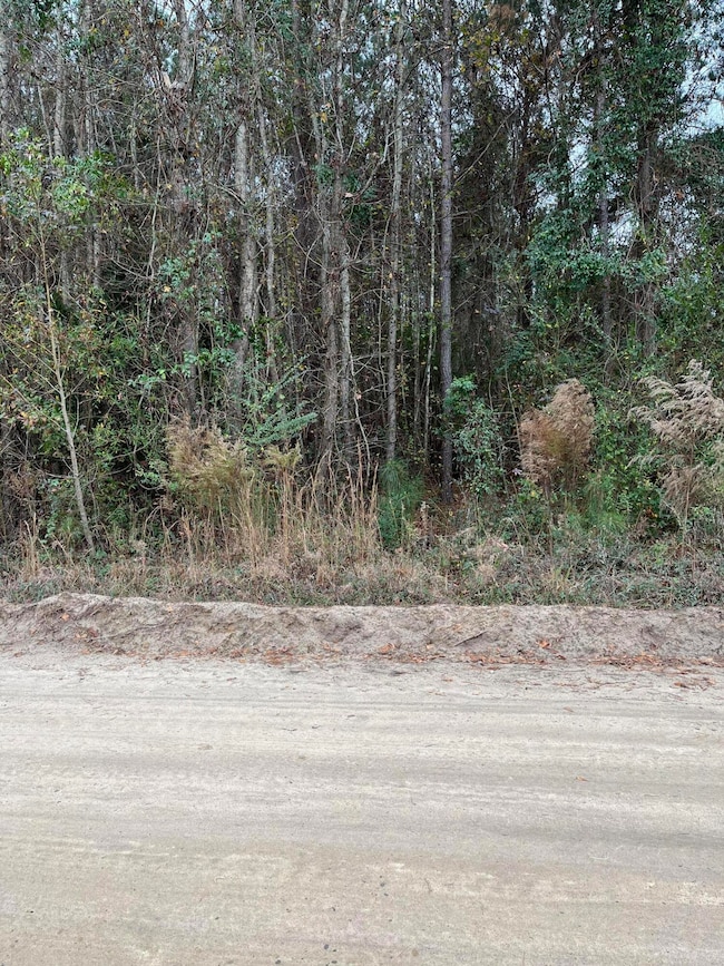 00 Ryn St, Cope, SC 29038 - photo 4