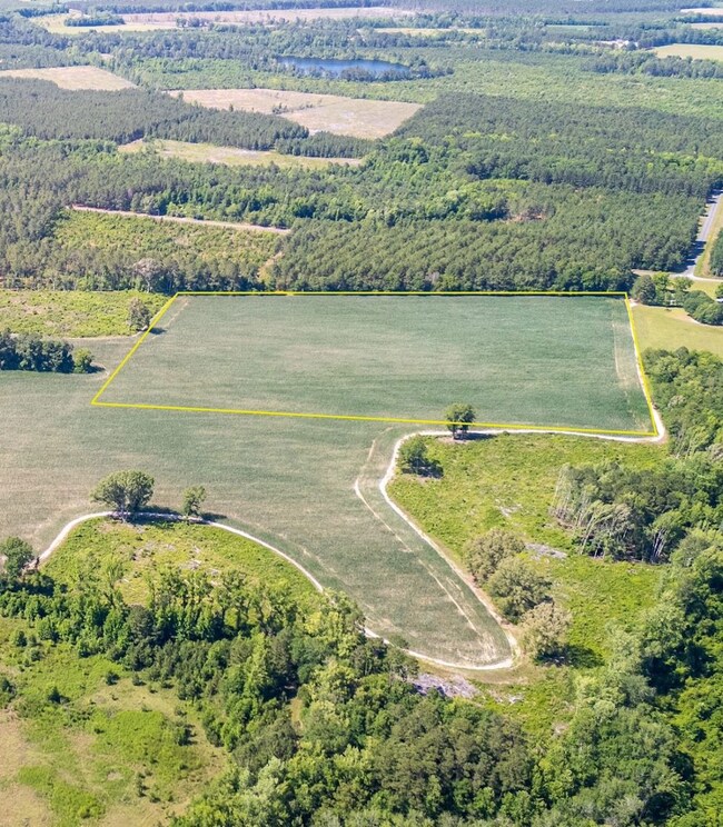 0 Tbd Salem Rd unit LotWP00B 24524860, Bennettsville, SC 29512 - photo 6