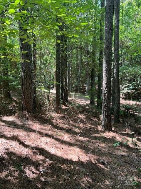 0 Broadwater Dr unit 166, Granite Falls, NC 28630 - photo 5